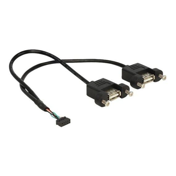 DeLOCK - USB internal to external cable - 10 pin USB head | 84832