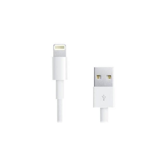 TECHly - Lightning cable - Lightning male to US | ICOC-APP-8WHTY2