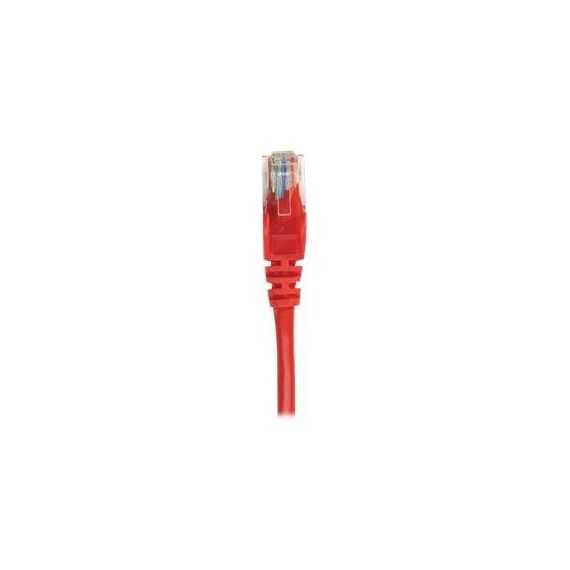 Intellinet Network Patch Cable, Cat6A, 0.25m, Red, Coppe | 737029