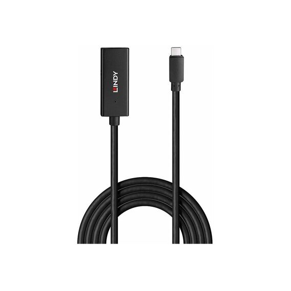 Lindy - USB extension cable - 24 pin USB-C (M) to DC jack | 43356
