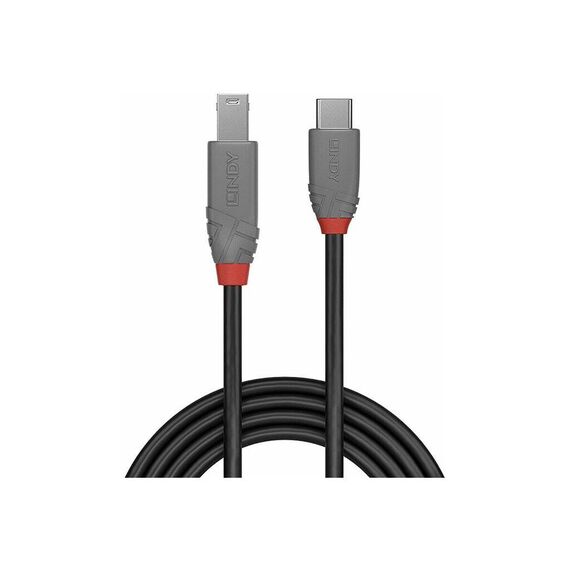 Lindy Anthra Line - USB cable - 24 pin USB-C (M) to USB T | 36666