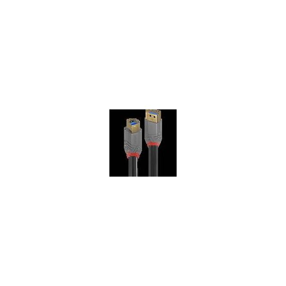 Lindy Anthra Line - USB cable - USB Type A (M) to USB Typ | 36741