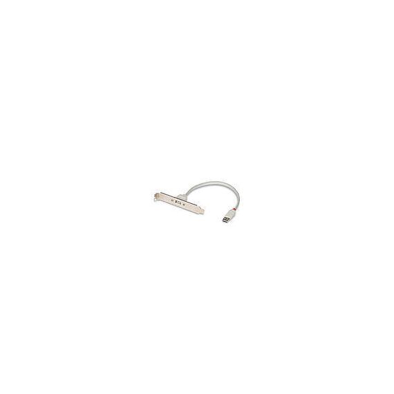 Lindy USB PC Back Plate - USB adapter - USB (F) to USB (M | 33123