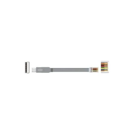 DeLOCK - Serial cable - USB (M) to RJ-45 (M) - 1 m - EIA- | 63911