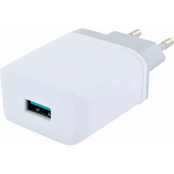 Schwaiger Power4You Professional Power adapter 2.4 A LAD440532