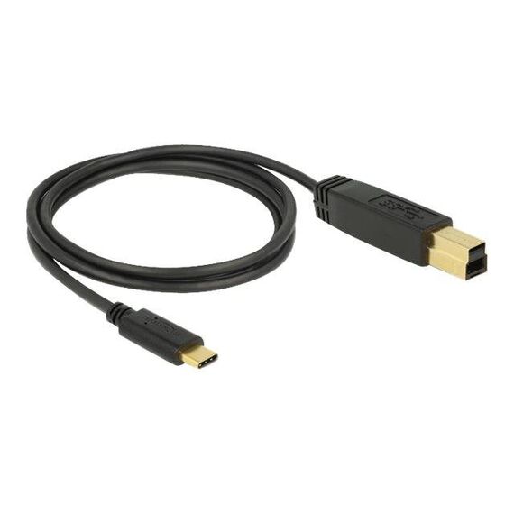 DeLOCK USB cable USBC (M) to USB Type B (M) USB 3.1 Gen 83675