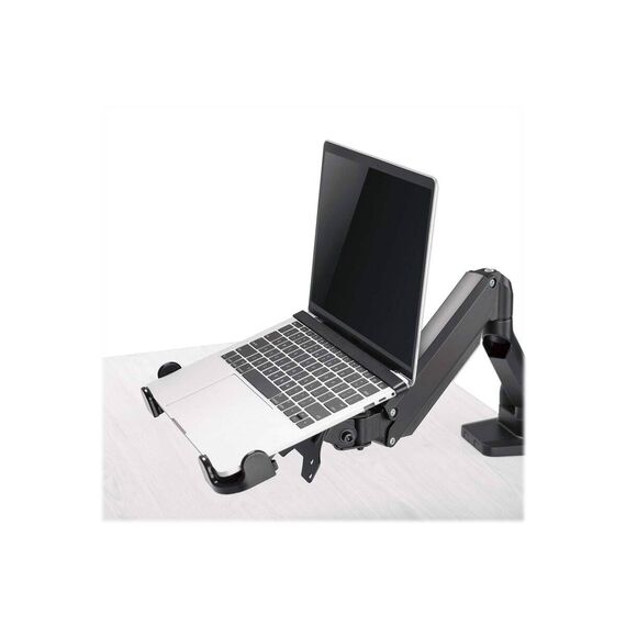 Manhattan Laptop Holder for VESA mount, Fits VESA 75x75  | 462211