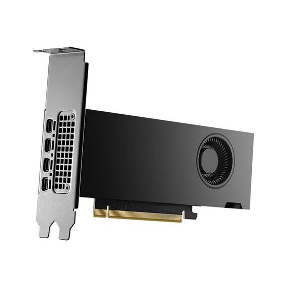 NVIDIA - Graphics card - NVIDIA RTX 2000 Ada - | VCNRTX2000ADA-PB