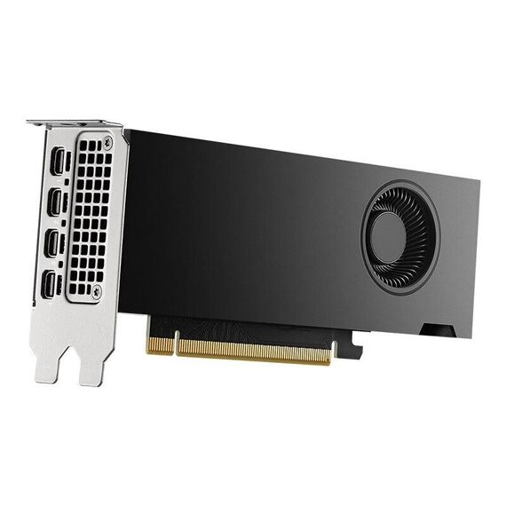 NVIDIA - Graphics card - NVIDIA RTX 2000 Ada - | VCNRTX2000ADA-PB