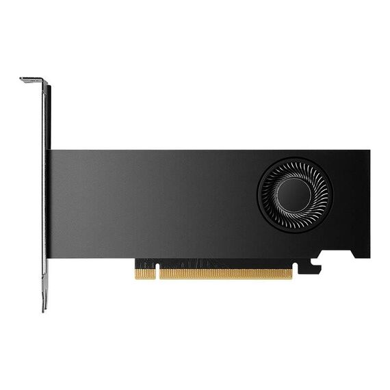 NVIDIA - Graphics card - NVIDIA RTX 2000 Ada - | VCNRTX2000ADA-PB