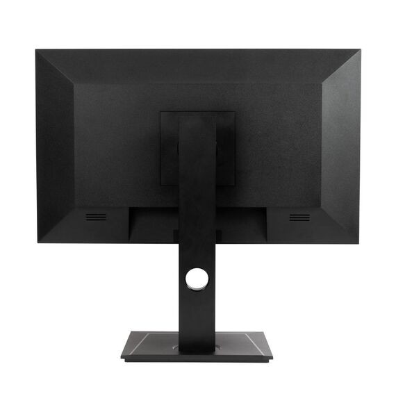 AG Neovo DW2401 / 60.5 cm (23.8") / 2560 x 1440 p | DW241011E0100