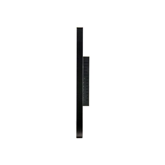 Hannspree HO165PTB - HO Series - LED monitor - 15.6" - open frame