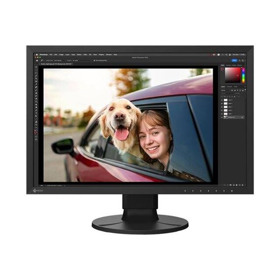 EIZO ColorEdge CS2400R - CS Series - LED monitor - 24" (24.1" vie