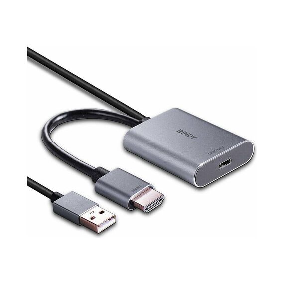 Lindy - Video converter - USB-C - grey | 43347
