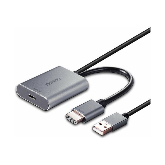 Lindy - Video converter - USB-C - grey | 43347