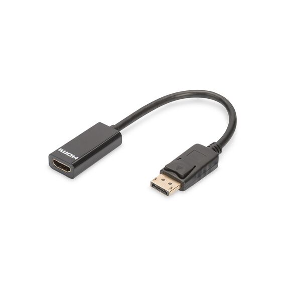 DIGITUS - Video adapter - DisplayPort (M) to HD | DB-340400-001-S