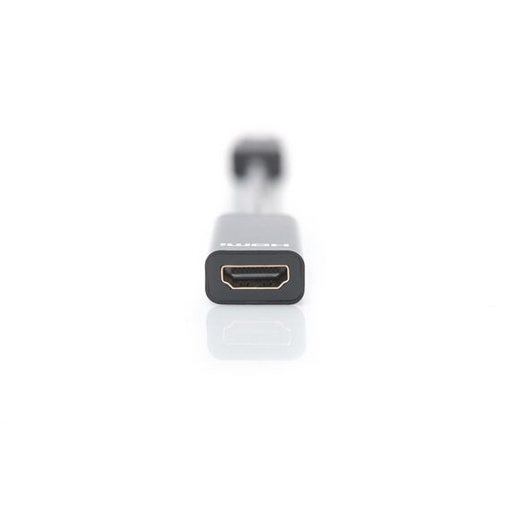 DIGITUS - Video adapter - DisplayPort (M) to HD | DB-340400-001-S