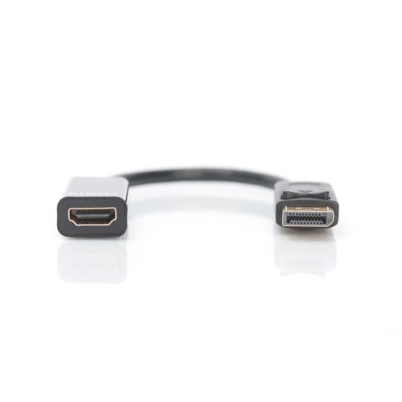 DIGITUS - Video adapter - DisplayPort (M) to HD | DB-340400-001-S