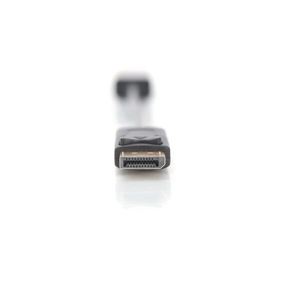 DIGITUS - Video adapter - DisplayPort (M) to HD | DB-340400-001-S