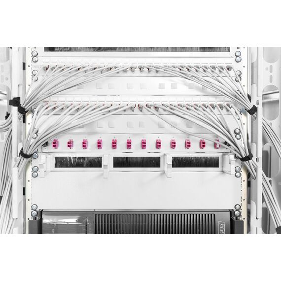 Digitus DN-19 BPN-02 - Blank panel - grey, RAL 7035 - 2U - 19"