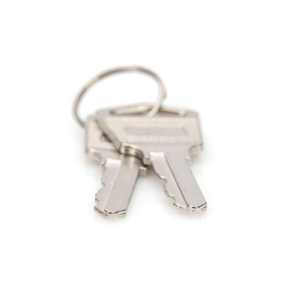 Digitus - Keys set - for DIGITUS DN-45000, DN-4500 | DN-45000-KEY