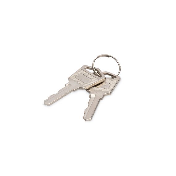 Digitus - Keys set - for DIGITUS DN-45000, DN-4500 | DN-45000-KEY