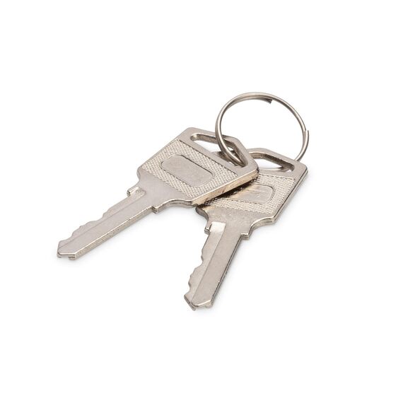 Digitus - Keys set - for DIGITUS DN-45000, DN-4500 | DN-45000-KEY