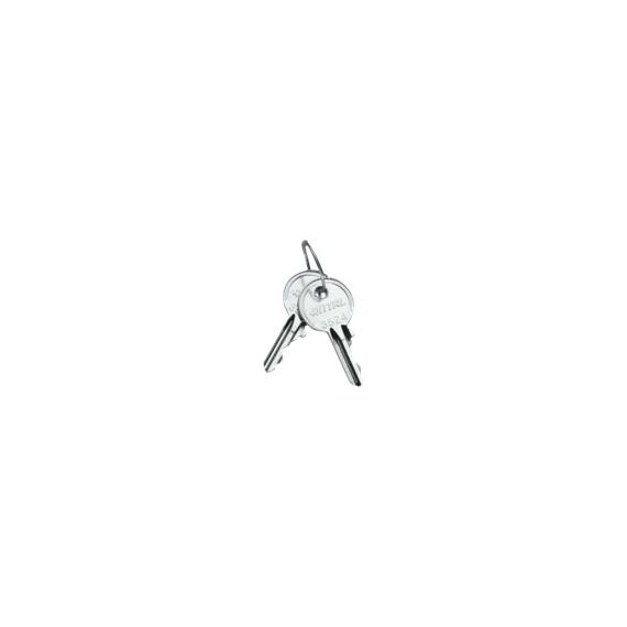 Rittal SZ - System security key (pack of 2) | 2532000