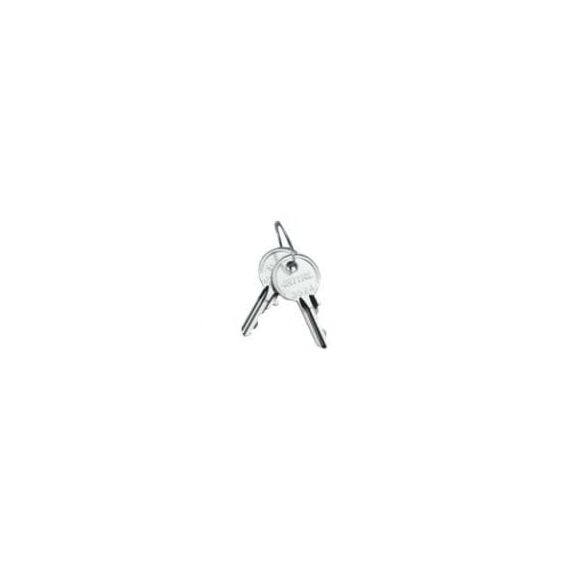 Rittal SZ - System security key (pack of 2) | 2532000