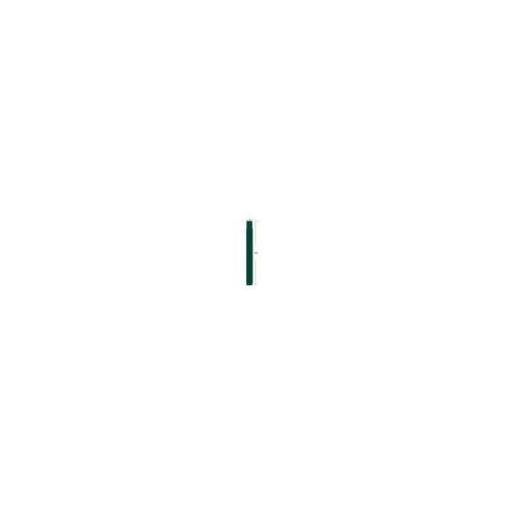 Zebra ZBand Fun Green 25.4 x 254 mm 1400 label(s) 100127124