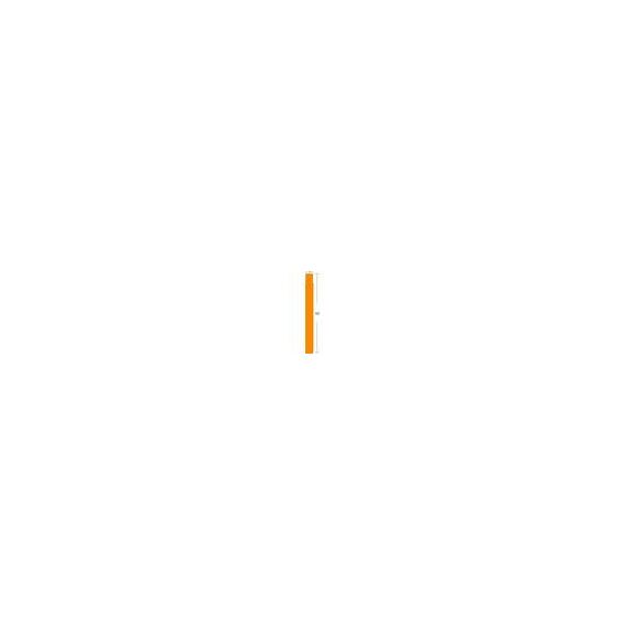 Zebra ZBand Fun Orange 25.4 x 254 mm 1400 label(s) 100127126