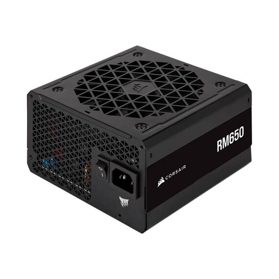 CORSAIR RM Series RM650 - Power supply (internal) | CP-9020280-EU
