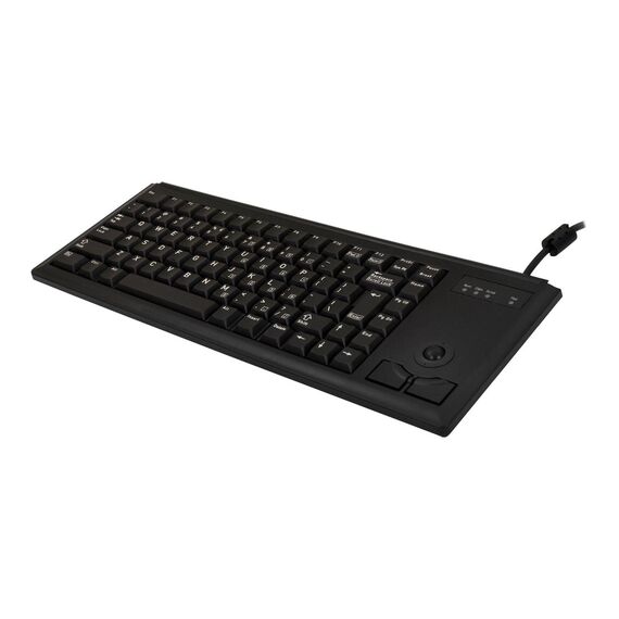 CHERRY ML4420 Keyboard USB US G844420LUBEU2