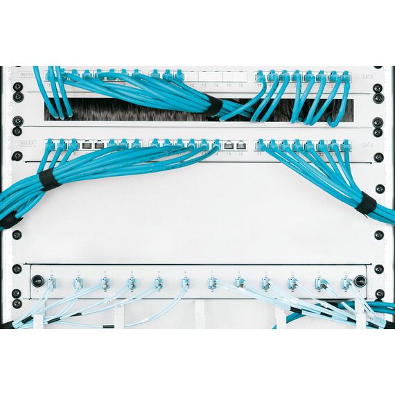 Digitus - Blank panel - grey, RAL 7035 - 3U - 19"  | DN-19 BPN-03