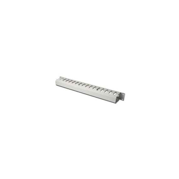 DIGITUS Professional DN-97616 - Rack cable management panel - gre