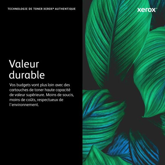 Xerox - Black - original - box - toner cartridge Use  | 006R04677