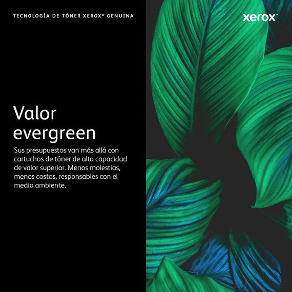 Xerox - Black - original - box - toner cartridge Use  | 006R04677