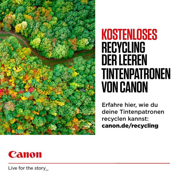Canon 1998C006 / Multi pack / 4 pc(s)