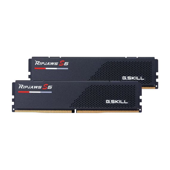 G.Skill DDR5 96GB PC 5200 CL40 G.Skill  | F5-5200J4040A48GX2-RS5K