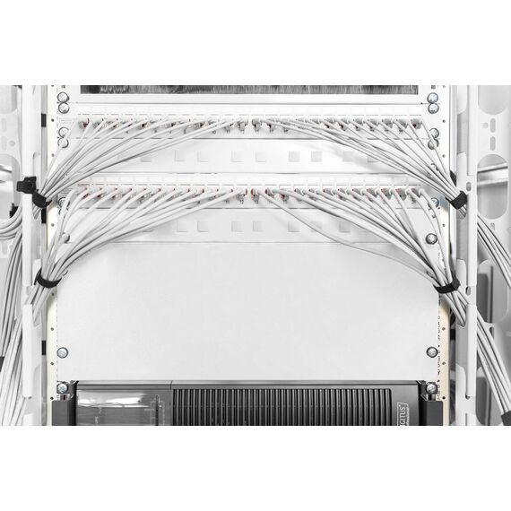 Digitus DN-19 BPN-04 - Blank panel - grey, RAL 7035 - 4U - 19"