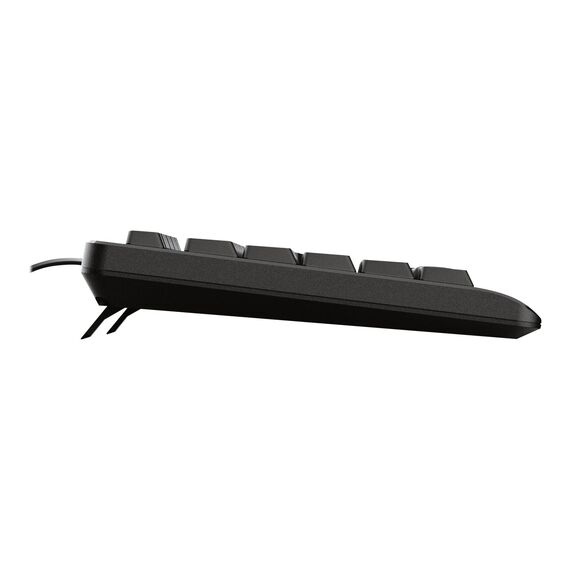 Trust Primo - Keyboard - USB - QWERTZ - German | 23884