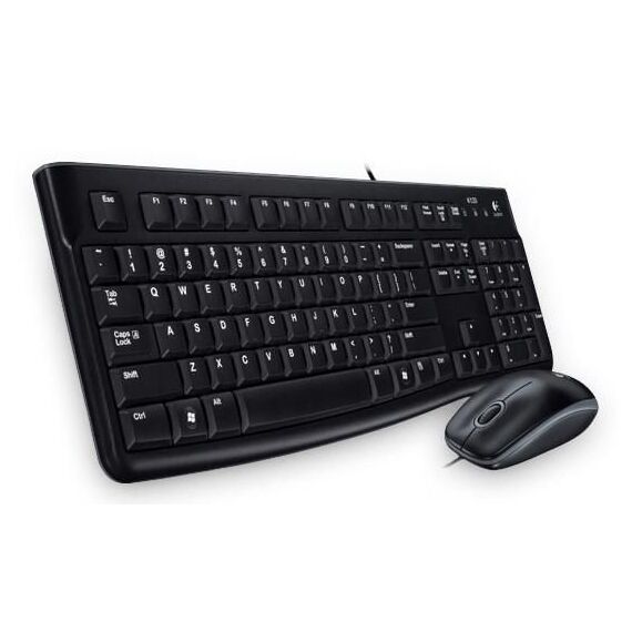 Logitech Desktop MK120 - Keyboard and mouse set - US | 920-002541