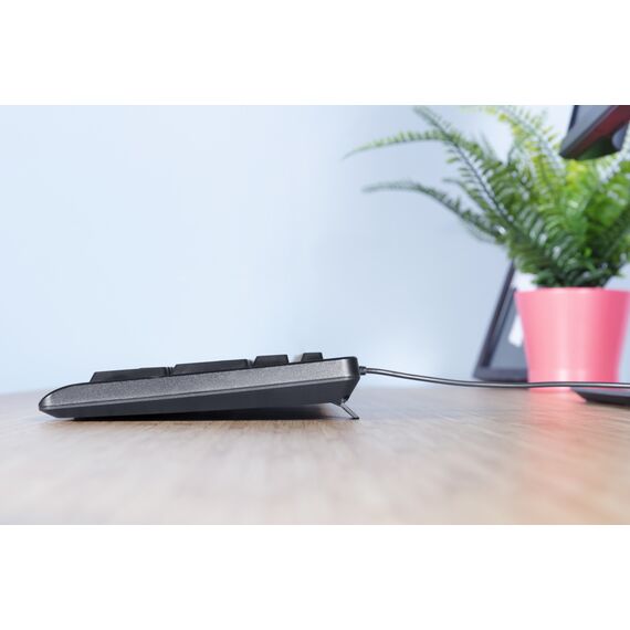Trust Primo - Keyboard and mouse set - USB - QWERTZ - Ger | 23973