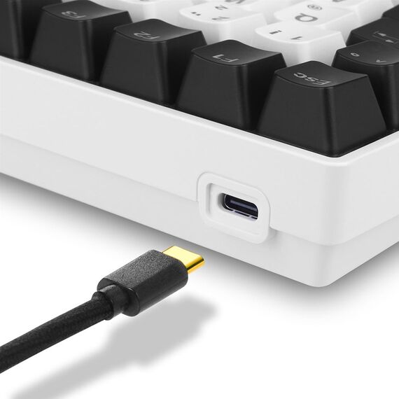 Sharkoon SGK50 S3 wh Gateron Yellow DE | 4044951039180