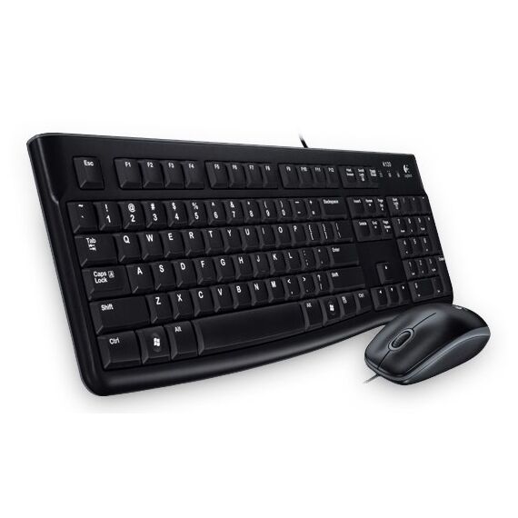 Logitech Desktop MK120 - Keyboard and mouse set - US | 920-002549