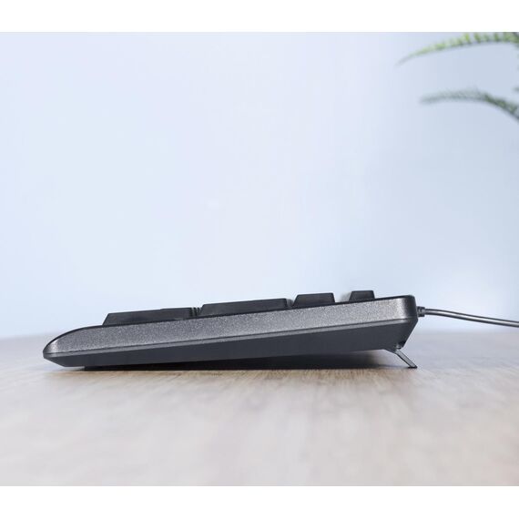 Trust TKM-250 - Keyboard and mouse set - USB - German | 23978