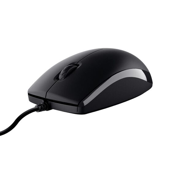 Trust TKM-250 - Keyboard and mouse set - USB - German | 23978