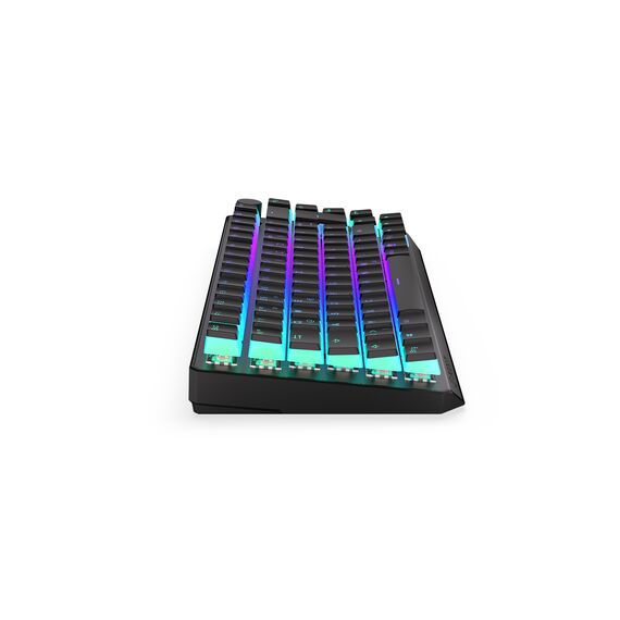 ENDORFY Thock 75% / 75% / Straight / Wired & Wireless / | EY5D019