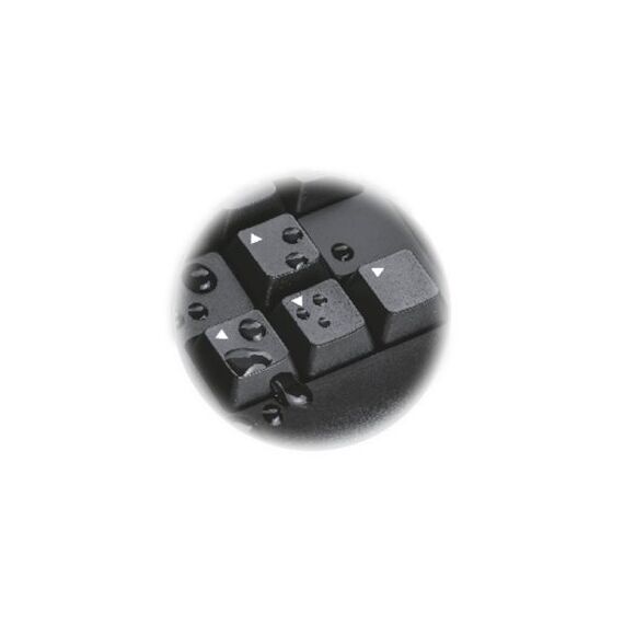 Trust TK-150 - Keyboard - USB - QWERTZ - German | 23983