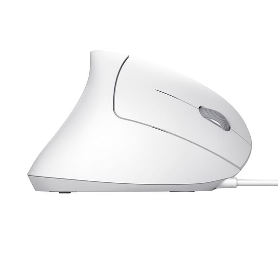 Trust Verto / Right-hand / Optical / USB Type-A / 1600 DP | 25133